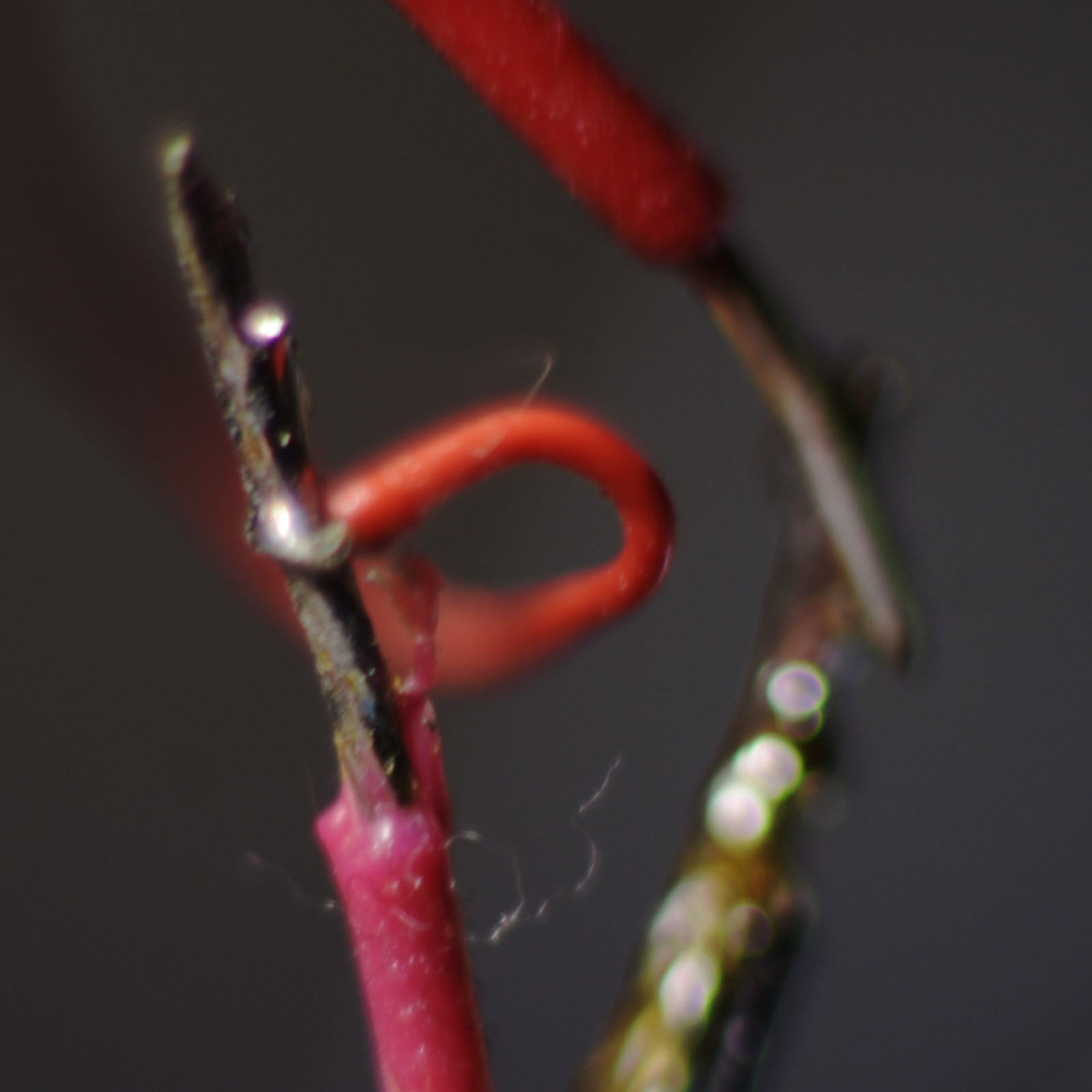 Matthew M. Conroy album cover