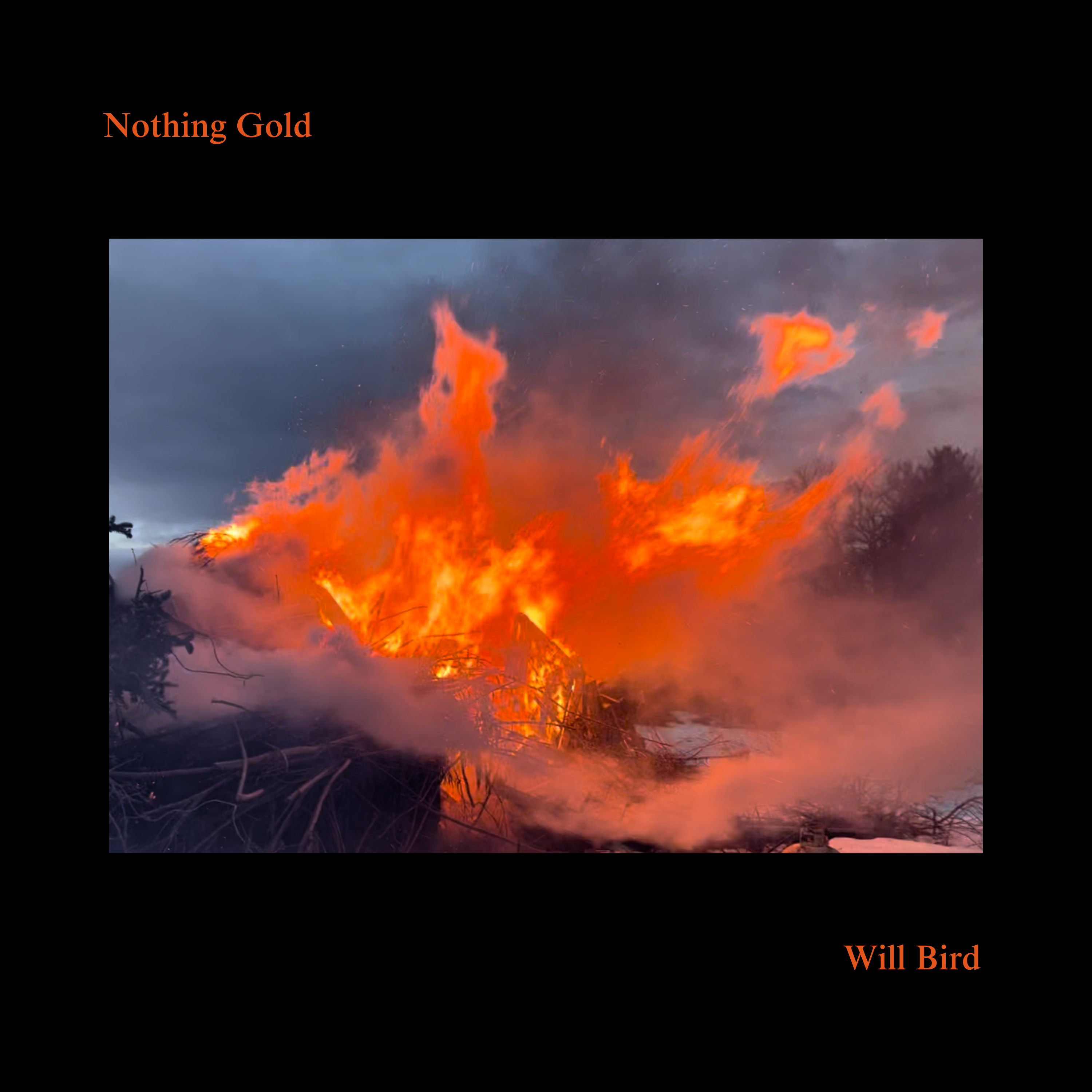 Will Bird album cover